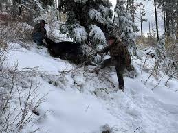 Second Time's the Charm