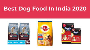 Here are a few basic and important ingredients that you must look for in the best dog food brands in india. Best Dog Food In India 2020 Youtube