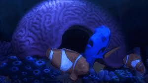 Agua, wasser, water, from flameshade download gif butt, touch, eau, or share boat, nemo, cul, boot, you can share gif wasser, water, agua, in twitter, facebook or instagram. Best Finding Nemo Gifs Primo Gif Latest Animated Gifs