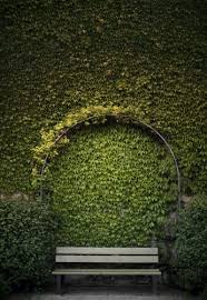 So Green But Would Have Been Even Better If The Plant Had Also Been An Evergreen Garden Design Urban Garden Vertical Garden