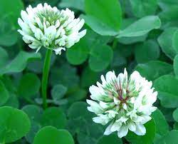 Pin On Meaning Of Nature