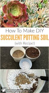 How To Make Your Own Succulent Soil With Recipe Succulents Best Soil For Succulents Succulent Soil