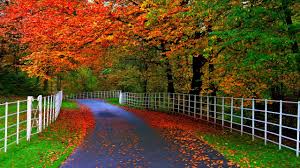 Find and download nature background on hipwallpaper. Nature Hd Wallpaper Pling Com