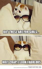 Fine I Ll Try Them Funny Animal Pictures Animal Jokes Cute Funny Animals