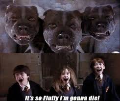 I Just Diiiiiiieeeeddddd Harry Potter Funny Harry Potter Jokes Harry Potter Memes