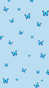 Check spelling or type a new query. Blue Butterfly Hintergrundbild Nawpic