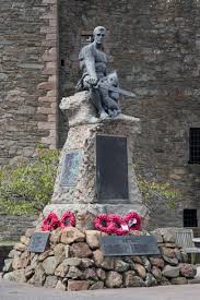 Image result for Macledium kirkii