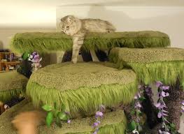 The enchanted forest kitty sanctuary has canopy limbs made of real tree limbs. Feline Fairy Forest Cutetropolis
