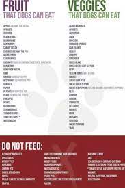What Dogs Can Can T Eat Dog Food Recipes Dog Health Tips Pets