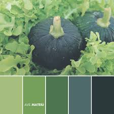 The skin of the pumpkin is usually ribbed and is usually orange on color although some varieties are green, grey, yellow or red in color. Dark Green Pumpkin With Lettuce Vegetable Surrounding Color Palette 390 Ave Mateiu