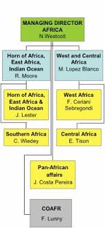 The Eus New Diplomats For Africa Who Are They And What