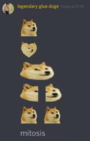  9 Ide Chan Humor Hewan Lucu Meme