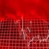 Story image for Cryptocurrencies from Investopedia