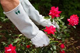 Leather Gardening Gloves By Fir Tree Premium Goatskin Gloves With Cowhide Suede Gauntlet Sleeves Perfect Rose Garden Gloves Mens And Womens Sizes M 8 See S Leather Gardening Gloves Gardening Gloves Cowhide