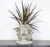 Darware Pot de Fleurs en résine en Forme de tête de Méduse ...