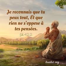 Je Reconnais Que Tu Peux Tout Et Que Rien Ne S Oppose A Tes Pensees Job 42 2 Reflexion Sur Le Verset D Image Biblique Versets Chretiens Citations Chretiennes