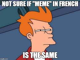 french Memes & GIFs - Imgflip
