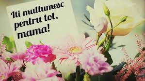 Un dar mai frumos nu se putea. 8 Martie Cele Mai Frumoase Mesaje UrÄƒri Si FelicitÄƒri Pentru Femeile Din ViaÅ£a NoastrÄƒ