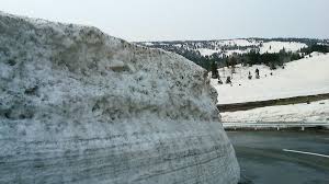 Image result for Hakkoda Walk