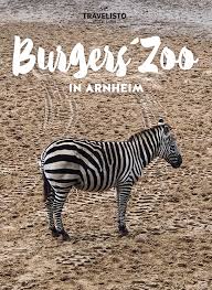 Ein Karnevalsfreies Karnevalswochenende Arnheim Freizeitpark Holland Und Zoo Deutschland