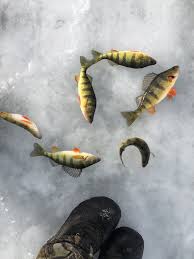 Island bait & tackle | Grand Isle VT - Facebook