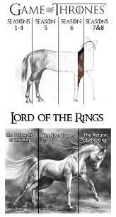 The Truth Lotrmemes