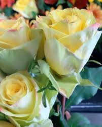 Vero beach hotel & spa offers answers to frequently asked questions about check in times, pet amenities, dining options and more. Vero Beach Florist Home Facebook