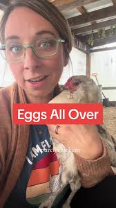 If your first year layers are dropping eggs in random spots, no worries!  Totally normal. Usually they figure it out over time. If you have  experienced chickens who used to lay in the boxes but don’t ...
