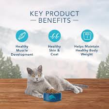 I received a can of cat food from #walmartsparkreview. Blue Buffalo Wilderness Grain Free Chicken High Protein Recipe Indoor Concord Pet Foods Supplies Delaware Pennsylvania New Jersey Maryland