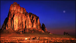 Image result for new mexico