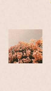 We have a massive amount of desktop and mobile if you're looking for the best aesthetic wallpapers then wallpapertag is the place to be. S A M A N T N A Aesthetic Wallpapers Aesthetic Pastel Wallpaper Aesthetic Backgrounds