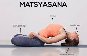 How To Do The Matsyasana And What Are Its Benefits Yoga For Anger Yoga Poses For Beginners Yoga Poses