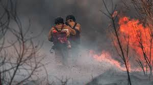 Por ejemplo, de los 36 proyectos sobre incendios forestales que se llevaron a cabo entre 1983 y 1998 o que están en curso de ejecución en indonesia, un país con una diversidad exuberante, con financiación de donantes, sólo uno abordaba específicamente los efectos sobre la biodiversidad. Recalcular Las Muertes De Animales Debido A Los Incendios Forestales En Australia Que Resultan Peores De