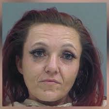 $183,000 worth of drugs discovered during traffic stop; NC woman charged