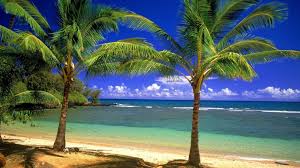 See the best beach wallpapers hd collection. Pin On Funi