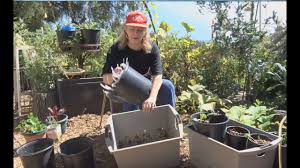 Check spelling or type a new query. How To Get Garden Soil Delivered Free Cheap To Grow Food Container Gardening Tomatoes Squash Herbs Youtube
