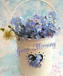 Pin Von Nasiba Mandal Auf Good Morning In 2020 Geburtstag Bilder Blumen Guten Morgen Blumen Morgen Spruche