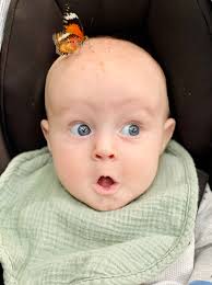 Branson Missouri USA