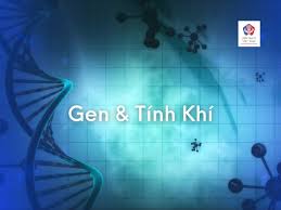 4 Lý Do Khiến Chúng Ta Thiếu Tự Tin
