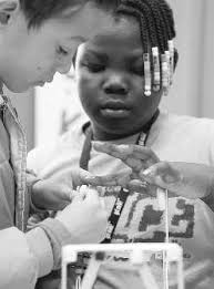 Avian flu hits 4.2M egg-layers