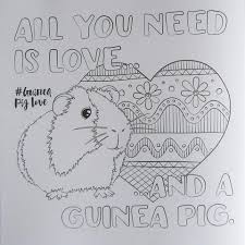 More 100 coloring pages from animal coloring pages category. Pin On Guinea Pigs