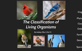 The Classification Of Living Organisms By Ashley Ellis On Prezi