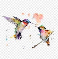 Kolibri, vogel, tiere, autocad dxf png. Watercolor Art Painting Drawing Hummingbird Free Transparent Kolibri Aquarell Png Image With Transparent Background Toppng