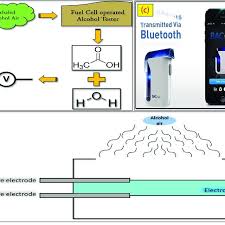 A person with a bac level of.08 or higher loses his/her muscle coordination and control and ability to think, judge, concentrate and react, and is considered an impaired driver. A Working Principle And Components Of Fuel Cell Operated Alcohol Download Scientific Diagram