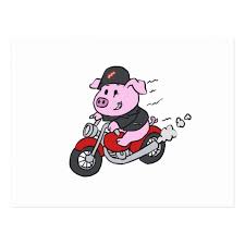 Cute Cartoon Pig Riding Motorcycle Postcard Zazzle Com Funny Drawings Pig Cartoon Cute Cartoon