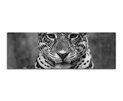 Maybe you would like to learn more about one of these? Canvas Photo As Panorama 120 X 40 Cm Black White Jaguar Face Close Up Buy Online In Angola At Angola Desertcart Com Productid 58335817