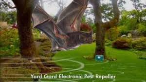 This product only works if you throw it at the critter you are trying to get rid of. Yard Gard Electronic Pest Repeller Youtube