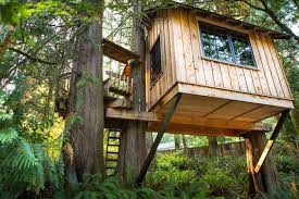 Riuscire a costruire una casa sull'albero può sembrare difficile. Costruire La Casa Sull Albero Casette Per Giardino Consigli Utili Per Costruire La Casa Sull Albero