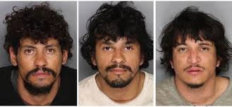 Trio accused of looting, host of other crimes