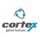 Cortex génie humain